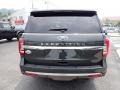 Forged Green Metallic - Expedition King Ranch 4x4 Photo No. 4