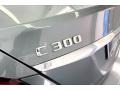 Selenite Grey Metallic - C 300 Sedan Photo No. 31