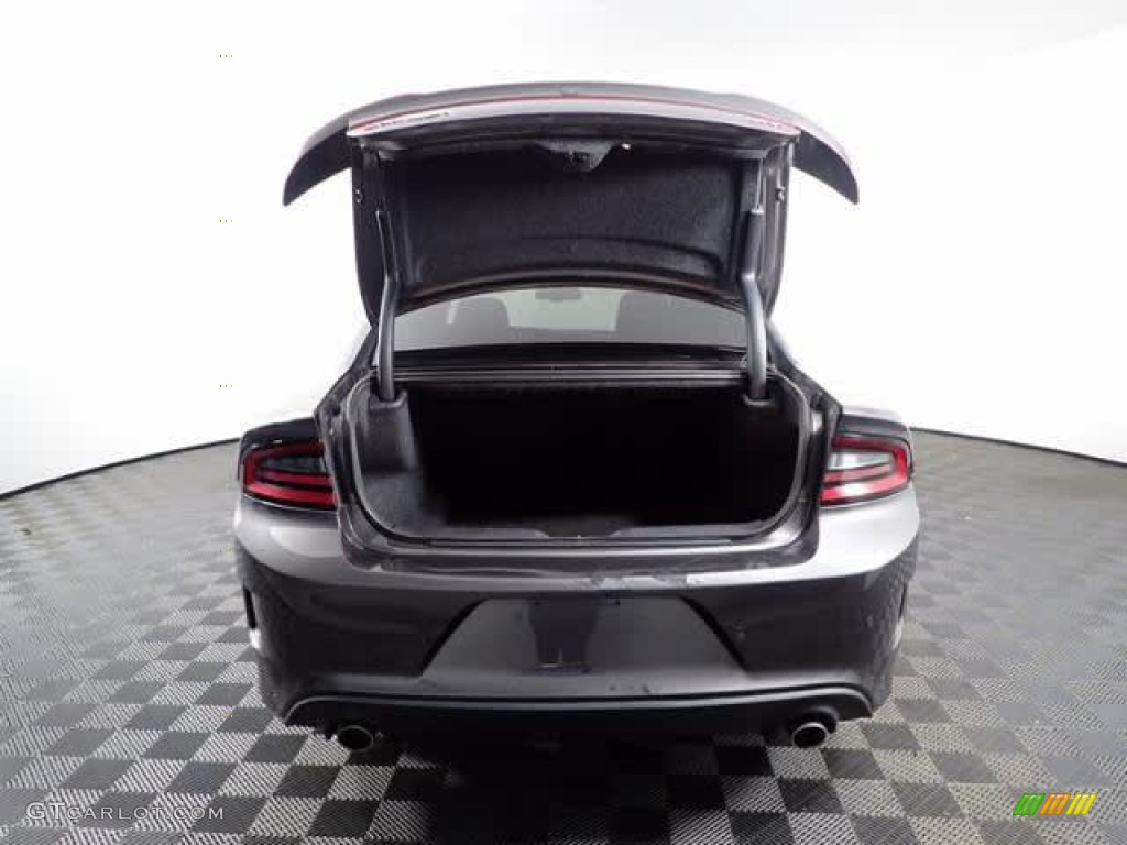 2019 Charger GT - Granite Pearl / Black photo #8