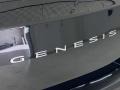 2022 Genesis G70 2.0T Badge and Logo Photo