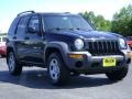 2002 Black Jeep Liberty Sport 4x4  photo #9