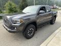 2023 Magnetic Gray Metallic Toyota Tacoma TRD Off Road Double Cab 4x4  photo #7