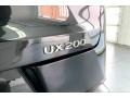 2020 Lexus UX 200 Badge and Logo Photo