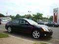 Onyx Black - Maxima 3.5 SE Photo No. 12