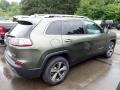 2020 Olive Green Pearl Jeep Cherokee Limited 4x4  photo #4