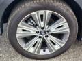  2023 Solterra Limited Wheel