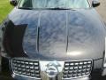 Onyx Black - Maxima 3.5 SE Photo No. 14
