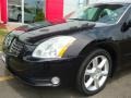 Onyx Black - Maxima 3.5 SE Photo No. 15