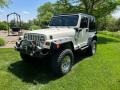 1999 Stone White Jeep Wrangler Sahara 4x4  photo #5