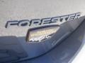 2022 Subaru Forester Wilderness Marks and Logos