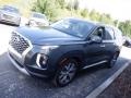 2020 Steel Graphite Hyundai Palisade SEL AWD  photo #4