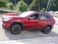  2019 RAV4 Adventure AWD Ruby Flare Pearl