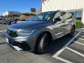 Platinum Gray Metallic - Tiguan SE R-Line Photo No. 3