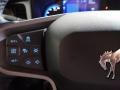 Roast/Black Onyx Steering Wheel Photo for 2022 Ford Bronco #146292860