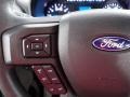 Medium Earth Gray Steering Wheel Photo for 2022 Ford F250 Super Duty #146296583