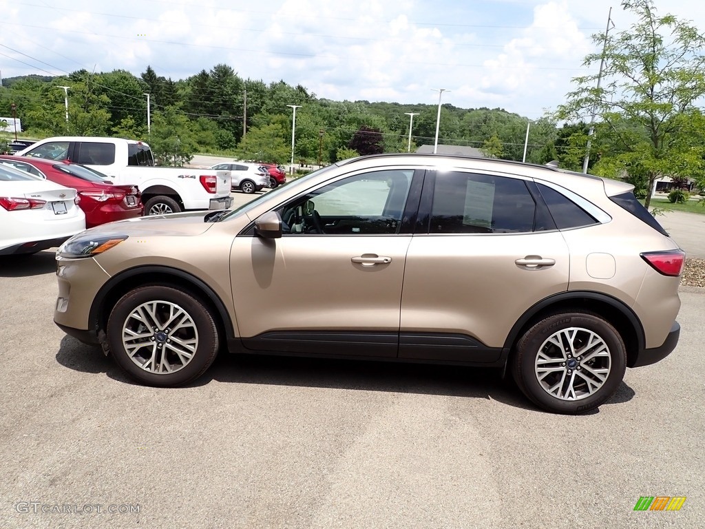 Desert Gold Metallic 2020 Ford Escape SEL 4WD Exterior Photo #146297375