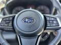 Slate Black Steering Wheel Photo for 2023 Subaru Ascent #146299907