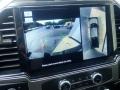 Carbonized Gray - F350 Super Duty Platinum Crew Cab 4x4 Photo No. 25