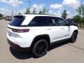 Bright White - Grand Cherokee Altitude 4x4 Photo No. 5