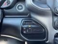 2023 Ram 3500 Tradesman Crew Cab 4x4 Controls