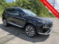 2023 Twilight Black Hyundai Santa Fe Calligraphy AWD  photo #2