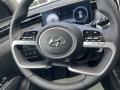 Black Steering Wheel Photo for 2023 Hyundai Tucson #146311055