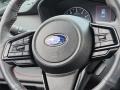 Titanium Gray Steering Wheel Photo for 2023 Subaru Legacy #146311737