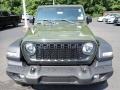 Sarge Green - Wrangler 4-Door Sport 4x4 Photo No. 9