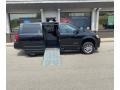 Brilliant Black Crystal Pearl - Grand Caravan SXT Photo No. 6