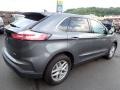 Carbonized Gray Metallic - Edge SEL AWD Photo No. 6