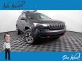 2019 Diamond Black Crystal Pearl Jeep Cherokee Trailhawk 4x4  photo #2