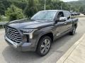 Magnetic Gray Metallic 2023 Toyota Tundra Capstone CrewMax 4x4 Exterior