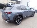 Polymetal Gray Metallic - CX-50 Turbo Premium Plus AWD Photo No. 2