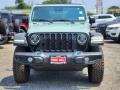 Earl - Wrangler 4-Door Willys 4xe Hybrid Photo No. 2