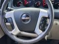 2009 GMC Acadia Light Titanium Interior Steering Wheel Photo