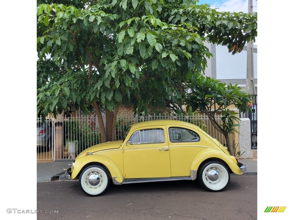 Texas Yellow 1973 Volkswagen Beetle Coupe Exterior Photo #146366824