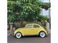 1973 Texas Yellow Volkswagen Beetle Coupe  photo #3