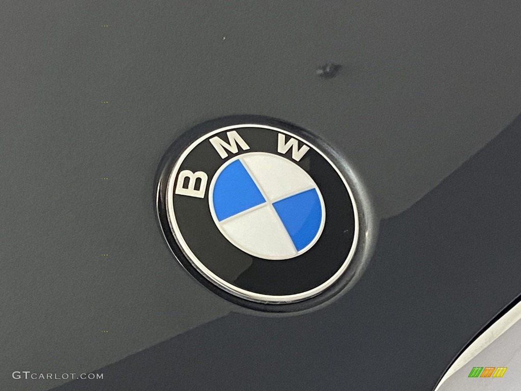 2020 X5 sDrive40i - Arctic Grey Metallic / Black photo #7