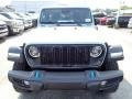 Earl - Wrangler 4-Door Willys 4xe Hybrid Photo No. 9