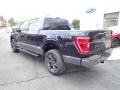 Carbonized Gray Metallic - F150 XLT SuperCrew 4x4 Photo No. 3