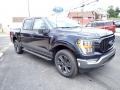 Carbonized Gray Metallic - F150 XLT SuperCrew 4x4 Photo No. 7