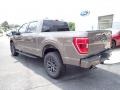 Stone Gray Metallic - F150 Tremor SuperCrew 4x4 Photo No. 3