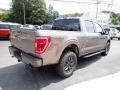 Stone Gray Metallic - F150 Tremor SuperCrew 4x4 Photo No. 5