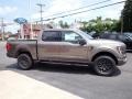 Stone Gray Metallic 2023 Ford F150 Tremor SuperCrew 4x4 Exterior