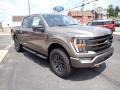 Stone Gray Metallic 2023 Ford F150 Tremor SuperCrew 4x4 Exterior