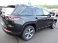 Rocky Mountain Pearl - Grand Cherokee 4XE Photo No. 6