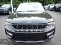 Rocky Mountain Pearl - Grand Cherokee 4XE Photo No. 9