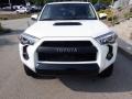 Ice Cap - 4Runner TRD Pro 4x4 Photo No. 16