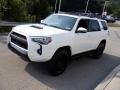 Ice Cap - 4Runner TRD Pro 4x4 Photo No. 18