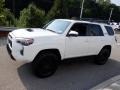Ice Cap - 4Runner TRD Pro 4x4 Photo No. 19
